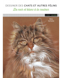 Dessiner des chats et autres félins : Du noir et blanc à la couleur